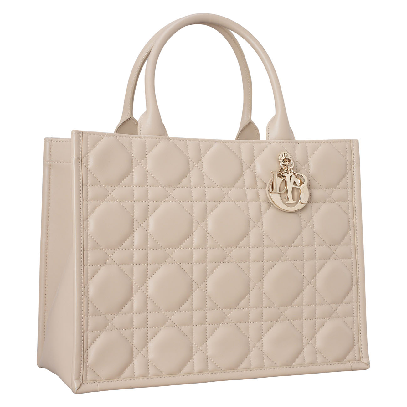 CHRISTIAN DIOR(USED)디올 레더 북토트 미듐